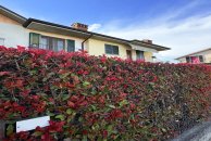 ea_campi22_17472288354