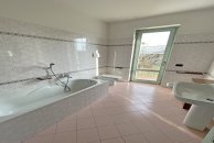 ea_gattiospitaletto10_16771661681