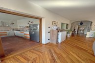 ea_gattiospitaletto22_16771667511